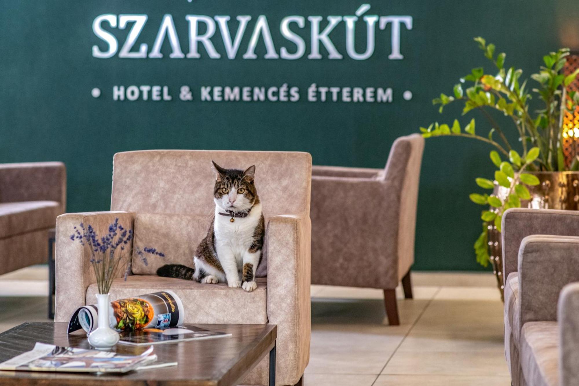 Szarvaskut Hotel Zirc Εξωτερικό φωτογραφία